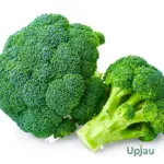 buy high germination broccoli seeds online India