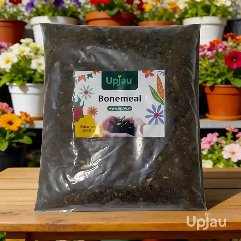 bone-meal-fertilizer-1kg-organic-india