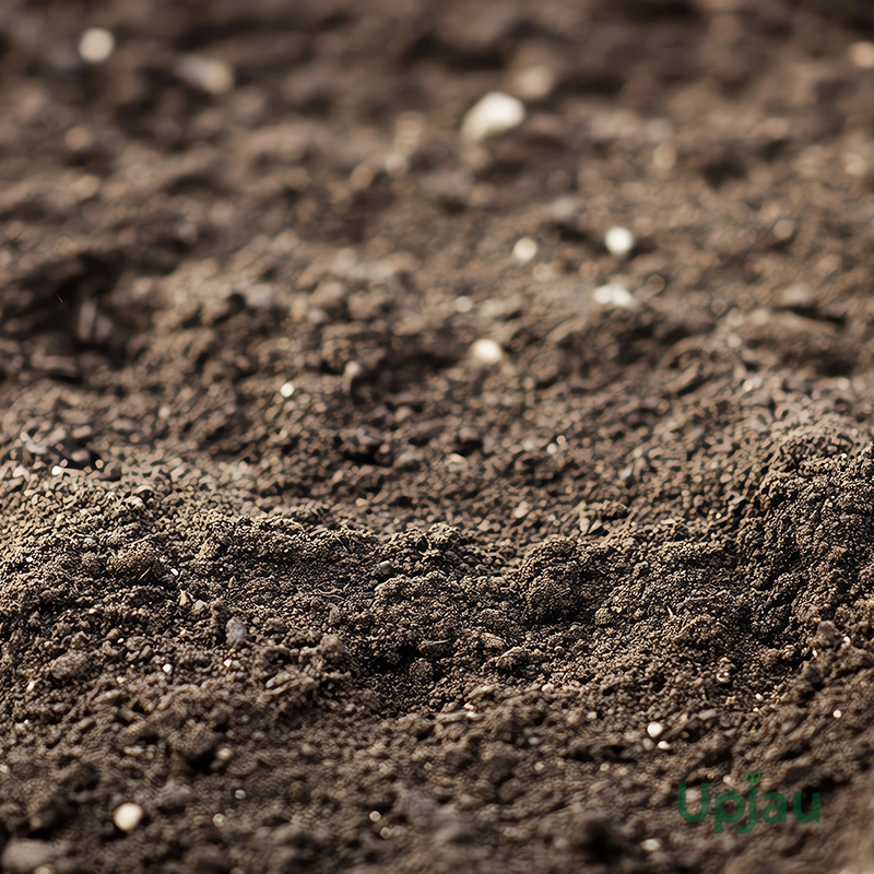 adenium soil 2