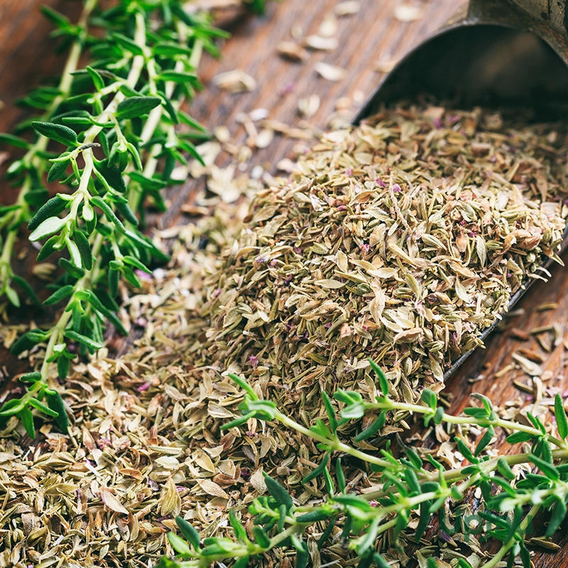Thyme Seeds Hybrid