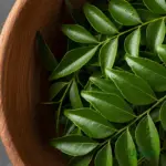 Premium Meetha Neem seeds for growing curry leaf plant at home