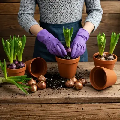 planting pre chilled bulbs in pots
