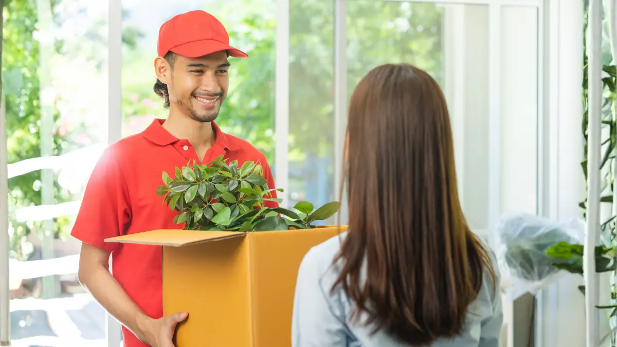 potted-plants-delivery-india