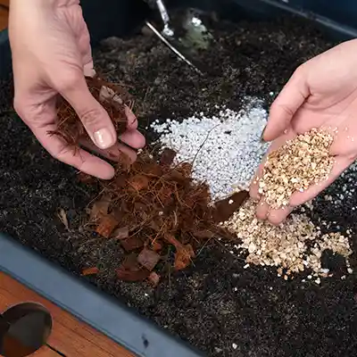 healthy indoor plants soil mix result
