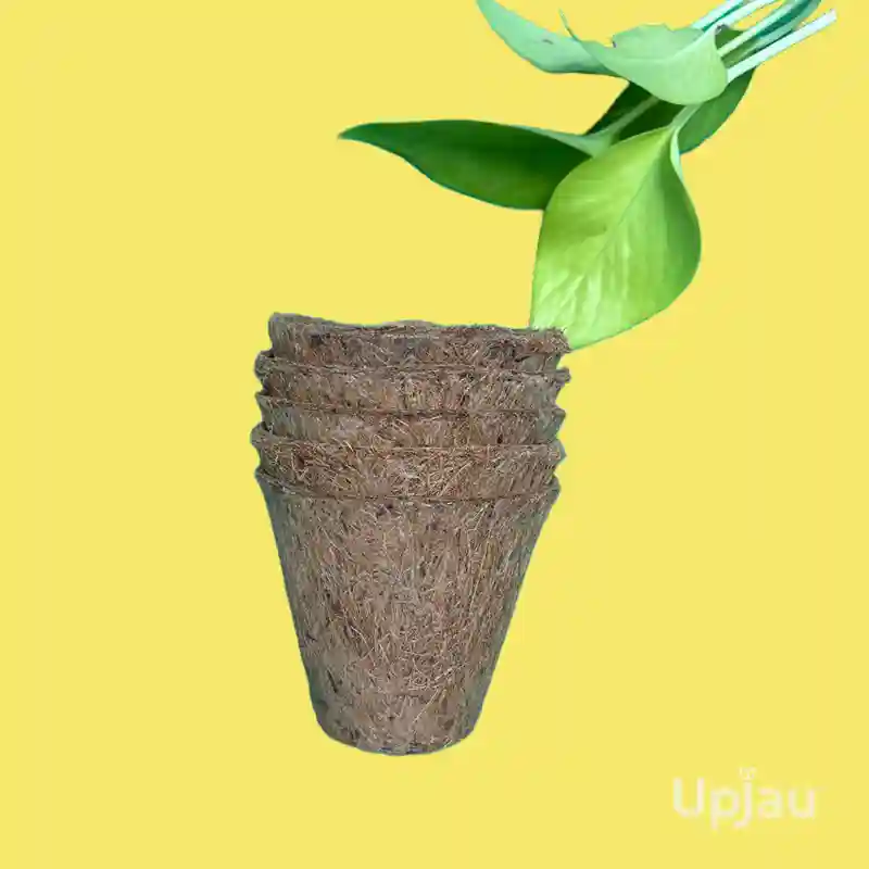 combo cocopeat pot