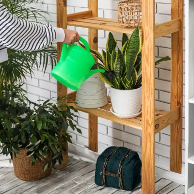 snkae plant growing tips